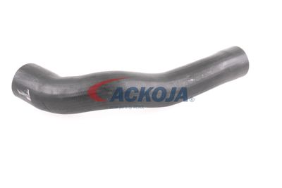 FURTUN EAR SUPRAALIMENTARE ACKOJA A379600 33