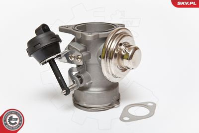 EGR Valve 14SKV080