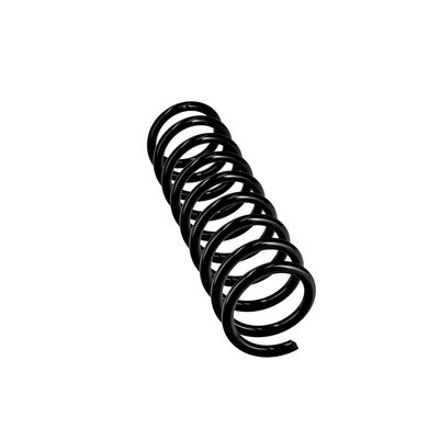 ARC SPIRAL EIBACH R10115 24