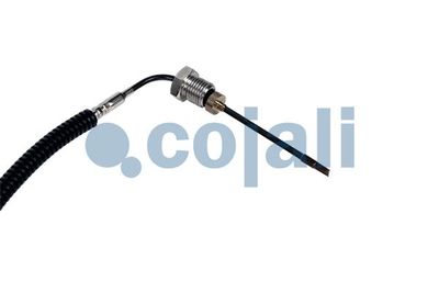 Vorschau Sensor, Abgastemperatur Ansicht 3