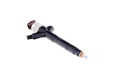 INJECTOR REMANTE 002003002041R 49