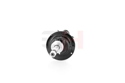 AMORTIZOR GH GH353287H 13