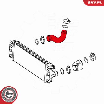 FURTUN EAR SUPRAALIMENTARE ESEN SKV 24SKV604 3