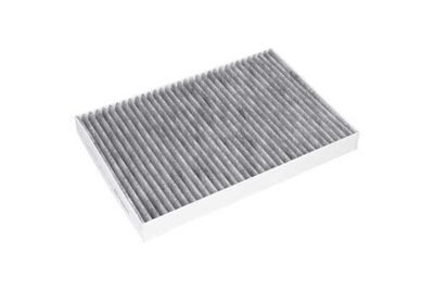 FILTRU AER HABITACLU AMC Filter FCA10134C 8