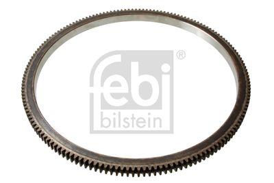 Ring Gear, flywheel 173418