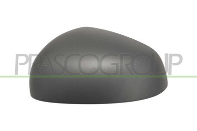 ACOPERIRE OGLINDA EXTERIOARA