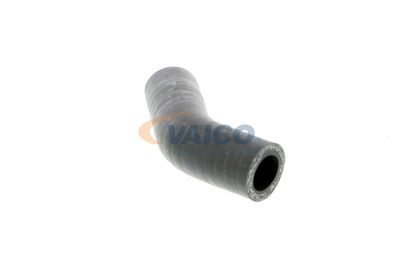 LADELUFTSCHLAUCH VAICO V240631 44