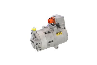 COMPRESOR CLIMATIZARE REMANTE 005001000373R 10