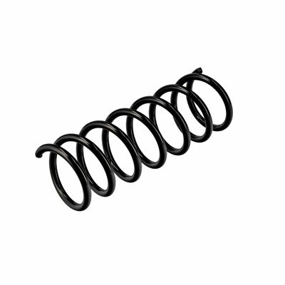 ARC SPIRAL EIBACH R10838 4