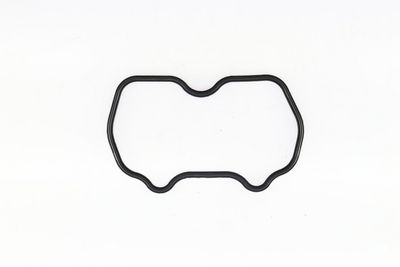 GARNITURA CAPAC SUPAPE