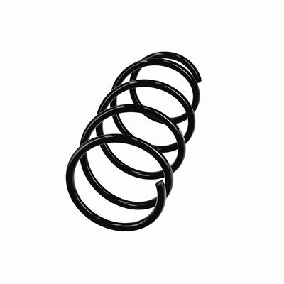 ARC SPIRAL EIBACH R11070 2
