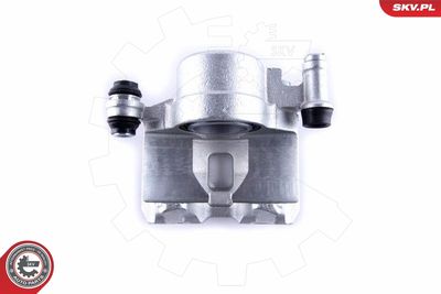 Brake Caliper 55SKV291