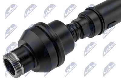 AX CARDANIC ANTRENAREA ARBORELUI NTY NWNLR008 2