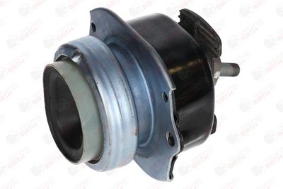 SUPORT MOTOR BIRTH 53546 12