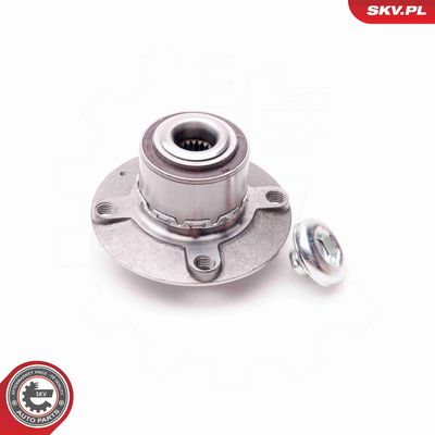 SET RULMENT ROATA ESEN SKV 29SKV116 1