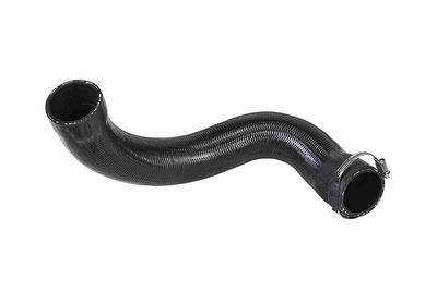 FURTUN EAR SUPRAALIMENTARE