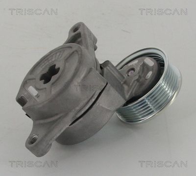 TRISCAN 8641 502003 Натяжитель ремня генератора для MAZDA