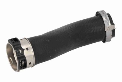 FURTUN EAR SUPRAALIMENTARE