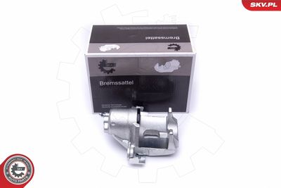 Brake Caliper 46SKV723