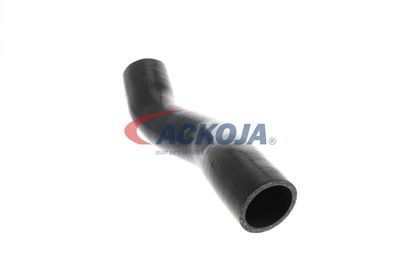 FURTUN EAR SUPRAALIMENTARE ACKOJA A389605 43