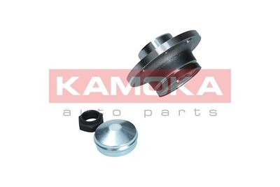 Wheel Bearing Kit 5500233