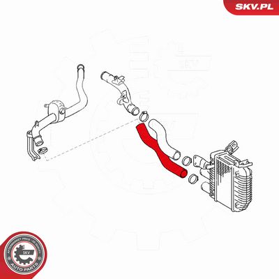 FURTUN EAR SUPRAALIMENTARE ESEN SKV 43SKV042 3