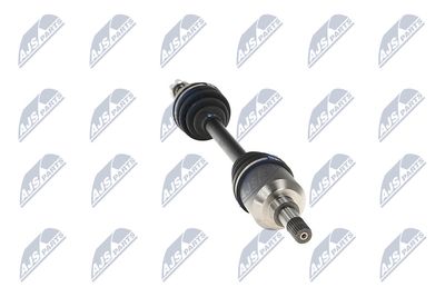 PLANETARA NTY NPWPE025 32