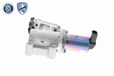 SUPAPA EGR ACKOJA A53630001 7