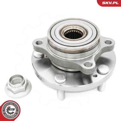 SET RULMENT ROATA ESEN SKV 29SKV565 6