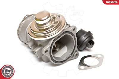 EGR Valve 14SKV080