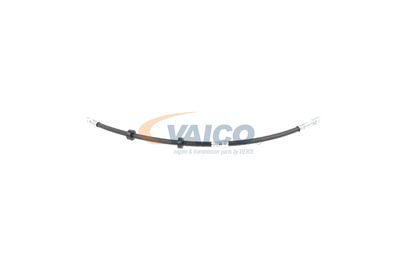 FURTUN FRANA VAICO V104226 27