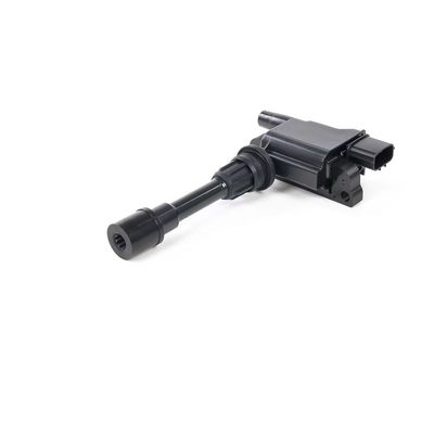 ZüNDSPULE DELPHI GN1030112B1 10