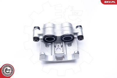 Brake Caliper 34SKV833