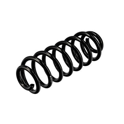 ARC SPIRAL EIBACH R10673 4