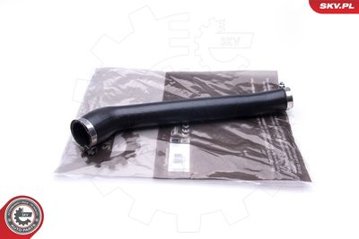 FURTUN EAR SUPRAALIMENTARE