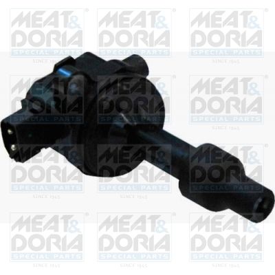 Ignition Coil 10605