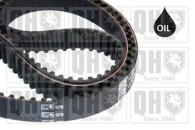 Зубчатый ремень QUINTON HAZELL QTB807 для AUDI A1