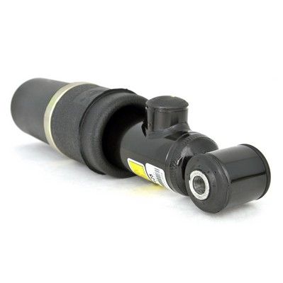 LUFTFEDERBEIN Arnott AS2125 1