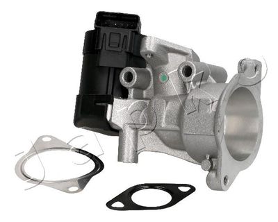 EGR Valve 1500302