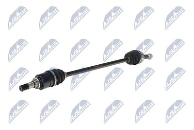 PLANETARA NTY NPWTY094 3