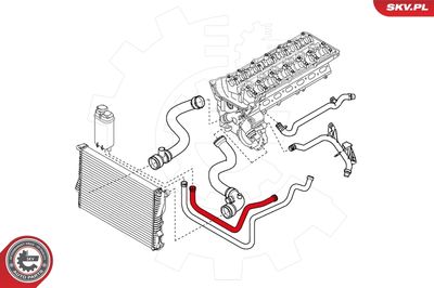 Radiator Hose 24SKV278