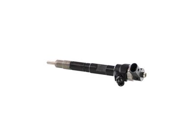 INJECTOR REMANTE 002003000034R 13