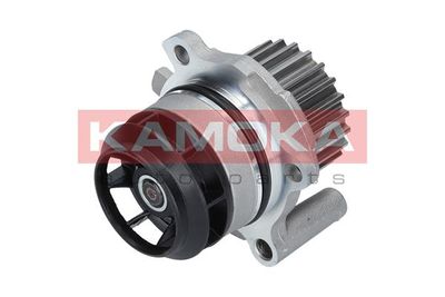 Water Pump, engine cooling T0022