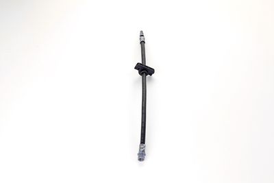 FURTUN FRANA ATE 24513404203 8