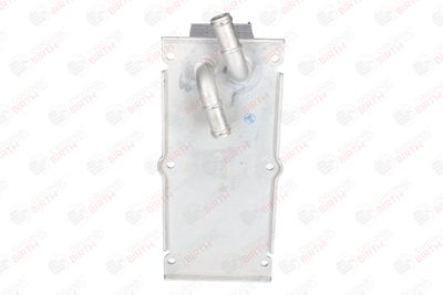 RADIATOR ULEI ULEI MOTOR BIRTH 80266 10