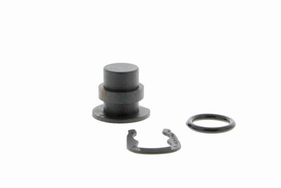 CAPAC FLANSA SISTEM DE RACIRE VAICO V100492 8