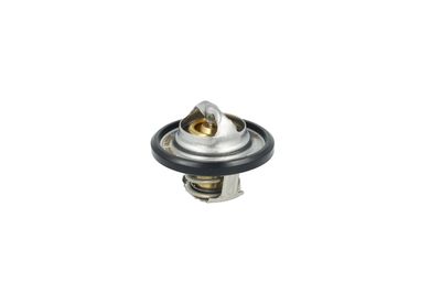 TERMOSTAT LICHID RACIRE NRF 725544 28
