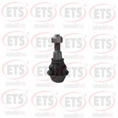 Шарнири ETS 54.BJ.496