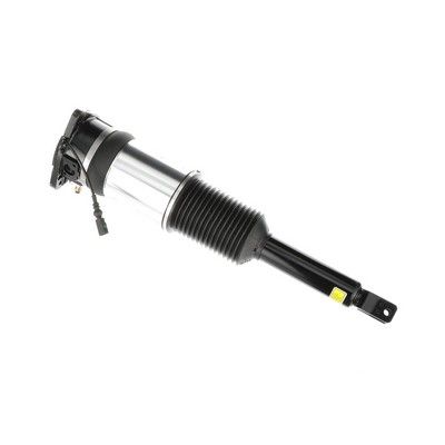 LUFTFEDERBEIN Arnott AS2966 66