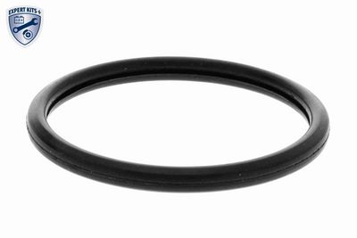 TERMOSTAT LICHID RACIRE ACKOJA A52990015 1